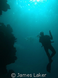Ilike this shot of a diver off shark observatory in Sharm. by James Laker 